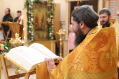 Moleben_i_Krestniy_hod_14-11-2016_10