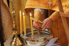 Moleben_i_Krestniy_hod_14-11-2016_11