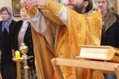 Moleben_i_Krestniy_hod_14-11-2016_12