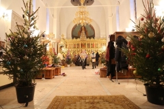 Podgotovka_k_Rozhdestvu_2017_02