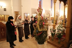 Podgotovka_k_Rozhdestvu_2017_04