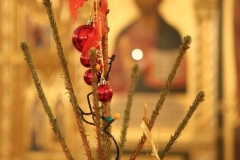 Podgotovka_k_Rozhdestvu_2017_07