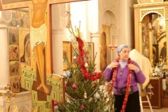 Podgotovka_k_Rozhdestvu_2017_15