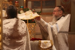 Liturgiya_Rozhdestva_Hristova_2017_10
