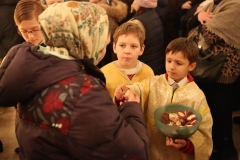 Liturgiya_Rozhdestva_Hristova_2017_16