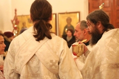 Liturgiya_Rozhdestva_Hristova_2017_17