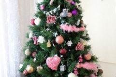 Koncert_internat52_01