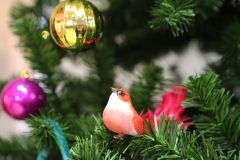 Koncert_internat52_45