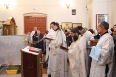 Velikoe_Osvyachenie_Vodiy_19.01.2017_08