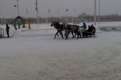 ekskursiya_na_ippodrom_22.01.2017_04