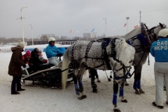 ekskursiya_na_ippodrom_22.01.2017_09