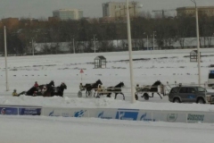 ekskursiya_na_ippodrom_22.01.2017_13