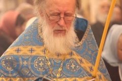 Vsenocshnaya_prestolniy_prazdnik_02.02.2017_13