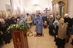 Vsenocshnaya_prestolniy_prazdnik_02.02.2017_17