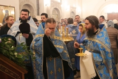 Vsenocshnaya_prestolniy_prazdnik_02.02.2017_18