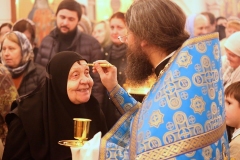 Vsenocshnaya_prestolniy_prazdnik_02.02.2017_19