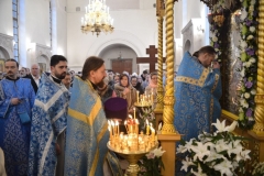 Krestniy_Hod_03.02.2017_18