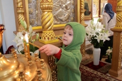 Sretenie_15.02.2017_21