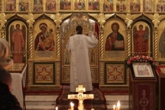 Roditelskaya_18.02.2017_01