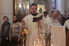 Roditelskaya_18.02.2017_03