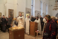 Roditelskaya_18.02.2017_04