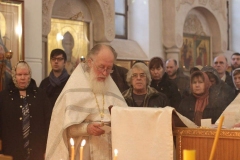 Roditelskaya_18.02.2017_05