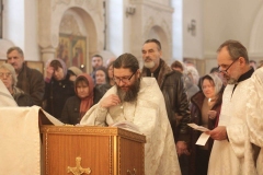 Roditelskaya_18.02.2017_06