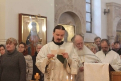 Roditelskaya_18.02.2017_07