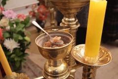 Roditelskaya_18.02.2017_08