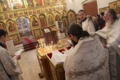 Roditelskaya_18.02.2017_10