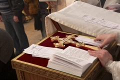 Roditelskaya_18.02.2017_11