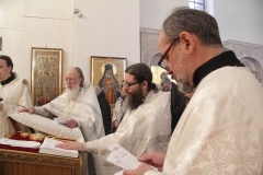 Roditelskaya_18.02.2017_12