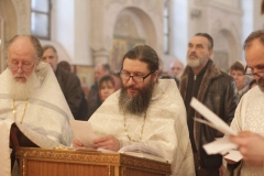 Roditelskaya_18.02.2017_13