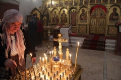 Roditelskaya_18.02.2017_14