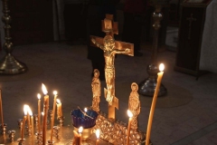 Roditelskaya_18.02.2017_15