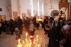 Tcin_Proscheniya_26.02.2017_05