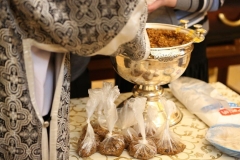 osvyachenie_koliva_03.03.2017_15