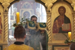 Verbnoe-Liturgiya_09-04-2017_03