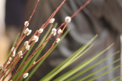 Verbnoe-Liturgiya_09-04-2017_17