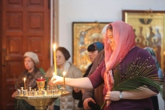 Verbnoe-Vsenochnaya_08-04-2017_11