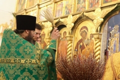 Verbnoe-Vsenochnaya_08-04-2017_14