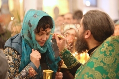 Verbnoe-Vsenochnaya_08-04-2017_20