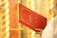 PASHA_2017_16.04.2017_01