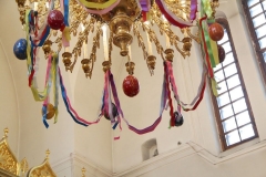 Svetlaya_Pyatnitsa_21.04.2017_08