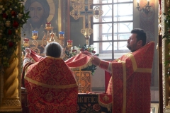 Svetlaya_Pyatnitsa_21.04.2017_10