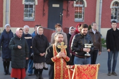 Posadka_derevev_25.04.2017_02