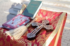 Posadka_derevev_25.04.2017_03