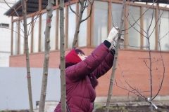 Posadka_derevev_25.04.2017_11