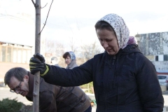 Posadka_derevev_25.04.2017_12