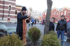 Posadka_derevev_25.04.2017_14